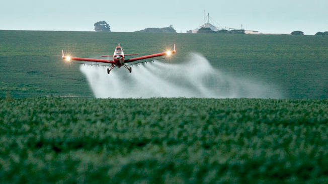 Resultado de imagen para agrotoxicos